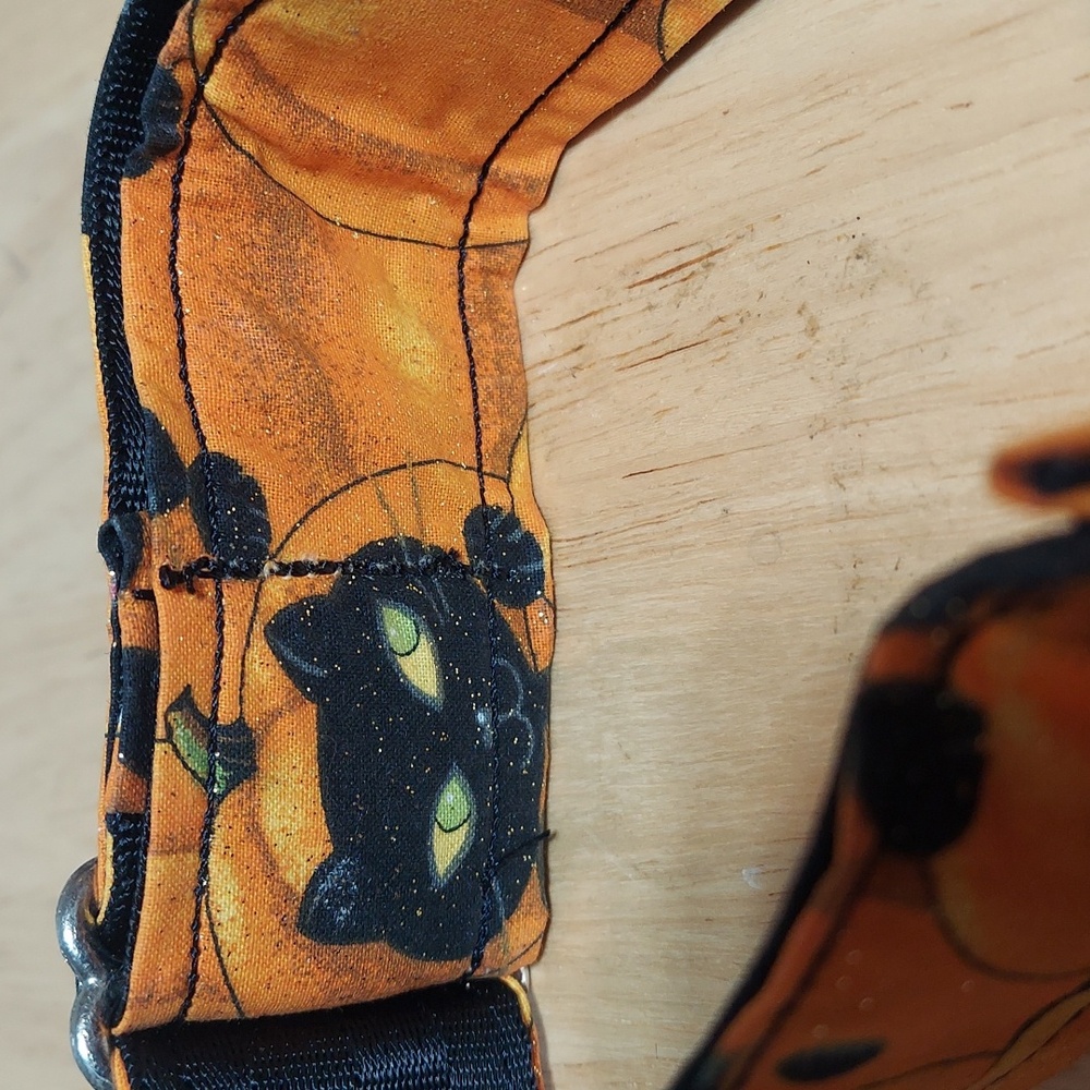 Halloween Pumpkin Dog Collar - Picture 3 of 4